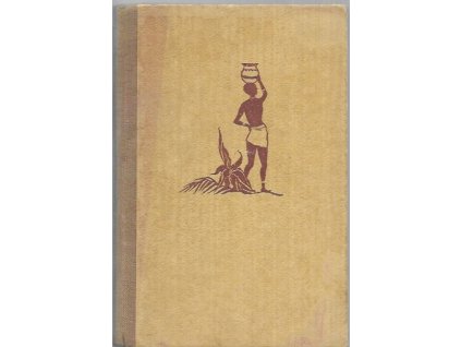 483935 lide v pralesich