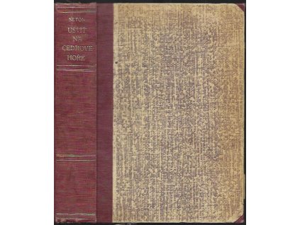 486338 usvit na cedrove hore rom divok zapadu