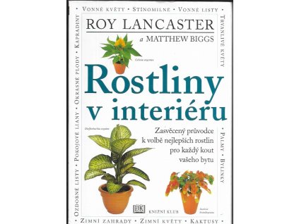 489368 rostliny v interieru