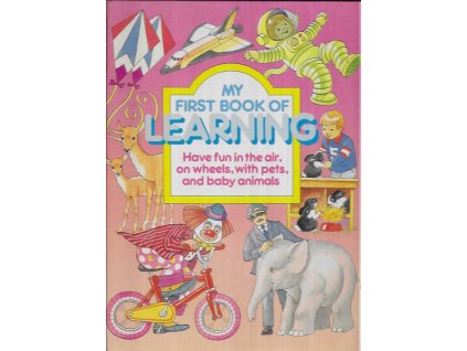 490271 my first book of learning