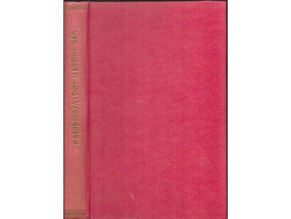 491408 dum u boziho oka staroprazsky roman