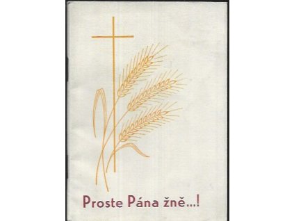 491411 proste pana zne modlitby za kneze