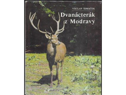 492098 dvanacterak z modravy