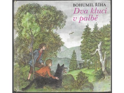 493226 dva kluci v palbe