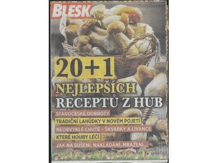 494330 20 1 nejlepsich receptu z hub