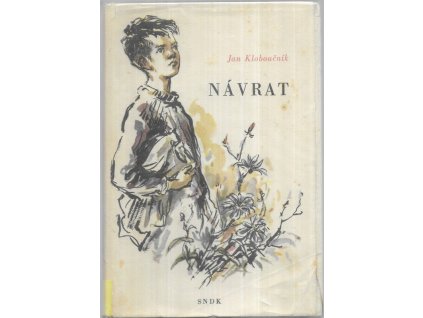 495029 navrat