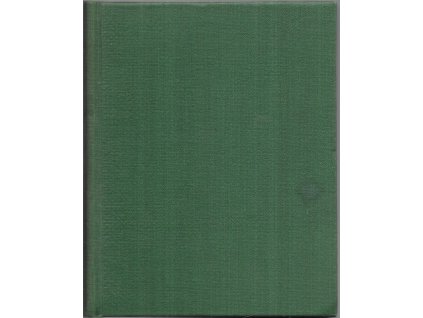 495149 jantarovy nahrdelnik chci verit