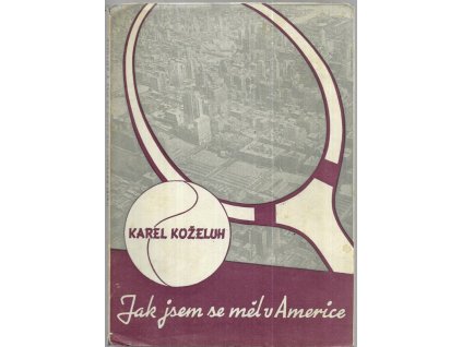 496841 jak jsem se mel v americe