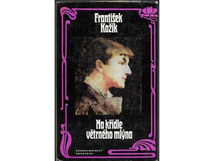 497192 na kridle vetrneho mlyna zivotni pribeh malirky zdenky braunerove a lidi kolem ni