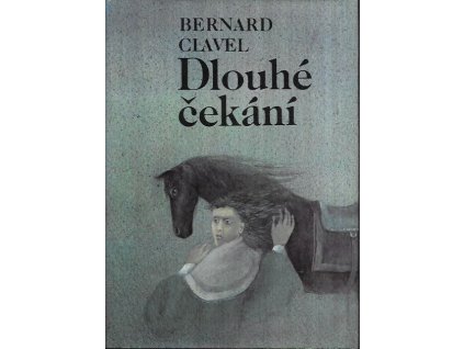 502241 dlouhe cekani