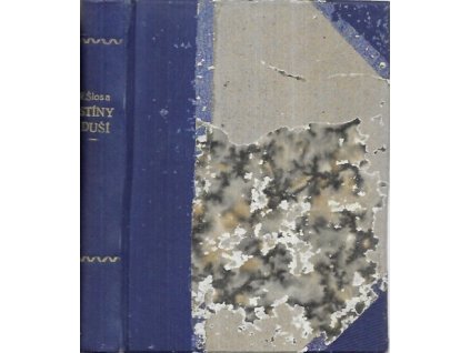 506549 stiny dusi historicke povidky odrodilec rom ze zivota ces mensin