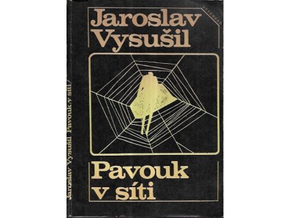 509672 pavouk v siti