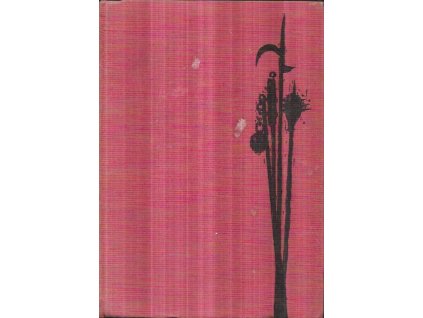 517949 husitska nevesta