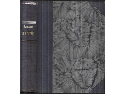 521207 kapitol roman z washingtonskeho zivota