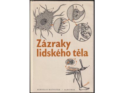 Skener 20260328 (19)