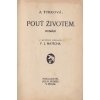 430004 pout zivotem roman