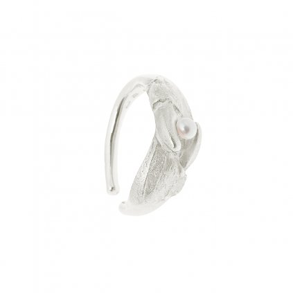 Claw earcuff - silver