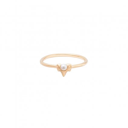 Petite A ring - 14KT yellow Gold