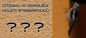 Otázky a odpovědi - Antistrakapoud