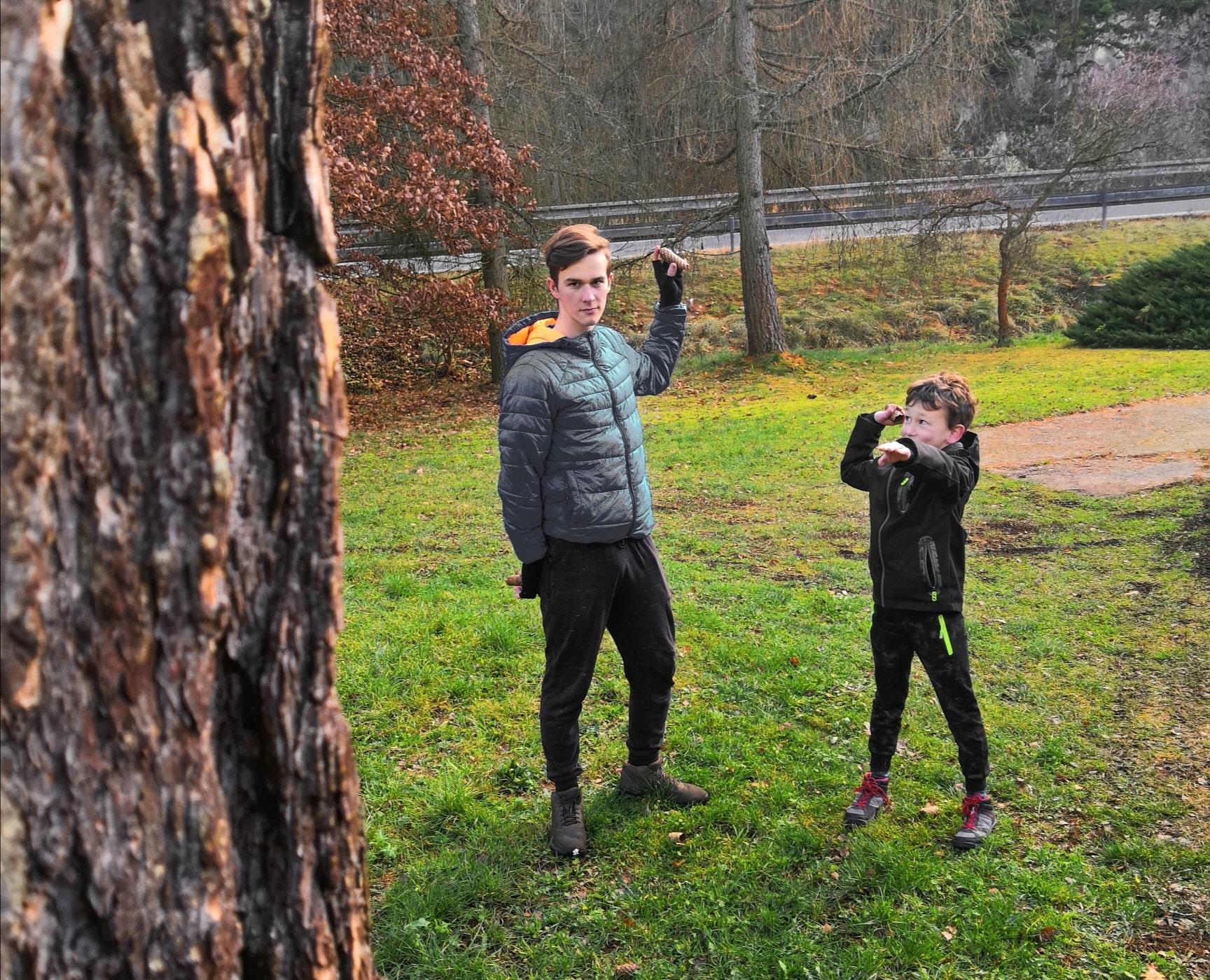 sova míření a házení na strom