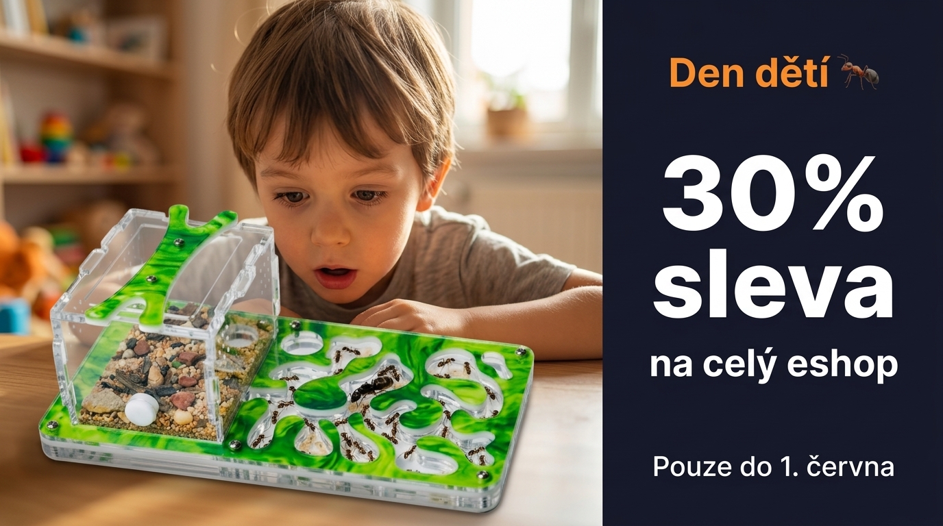 Mravenčí farma Vertikální set Stolní věž