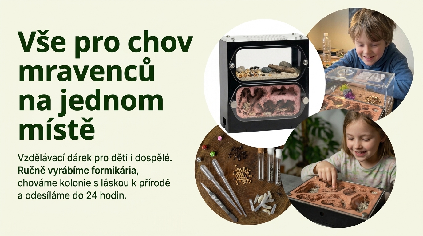 Vše pro chov mravenců na jednom místě