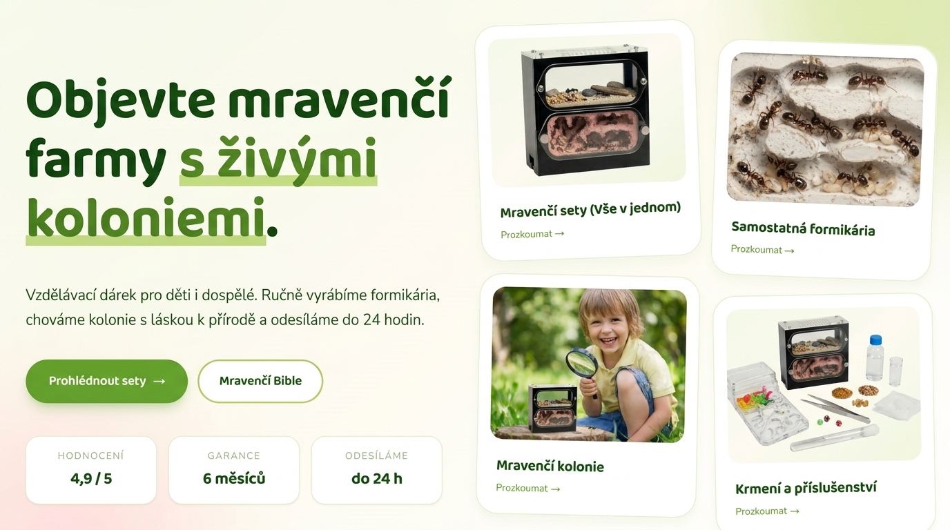Objevte mravenčí farmy s koloniemi