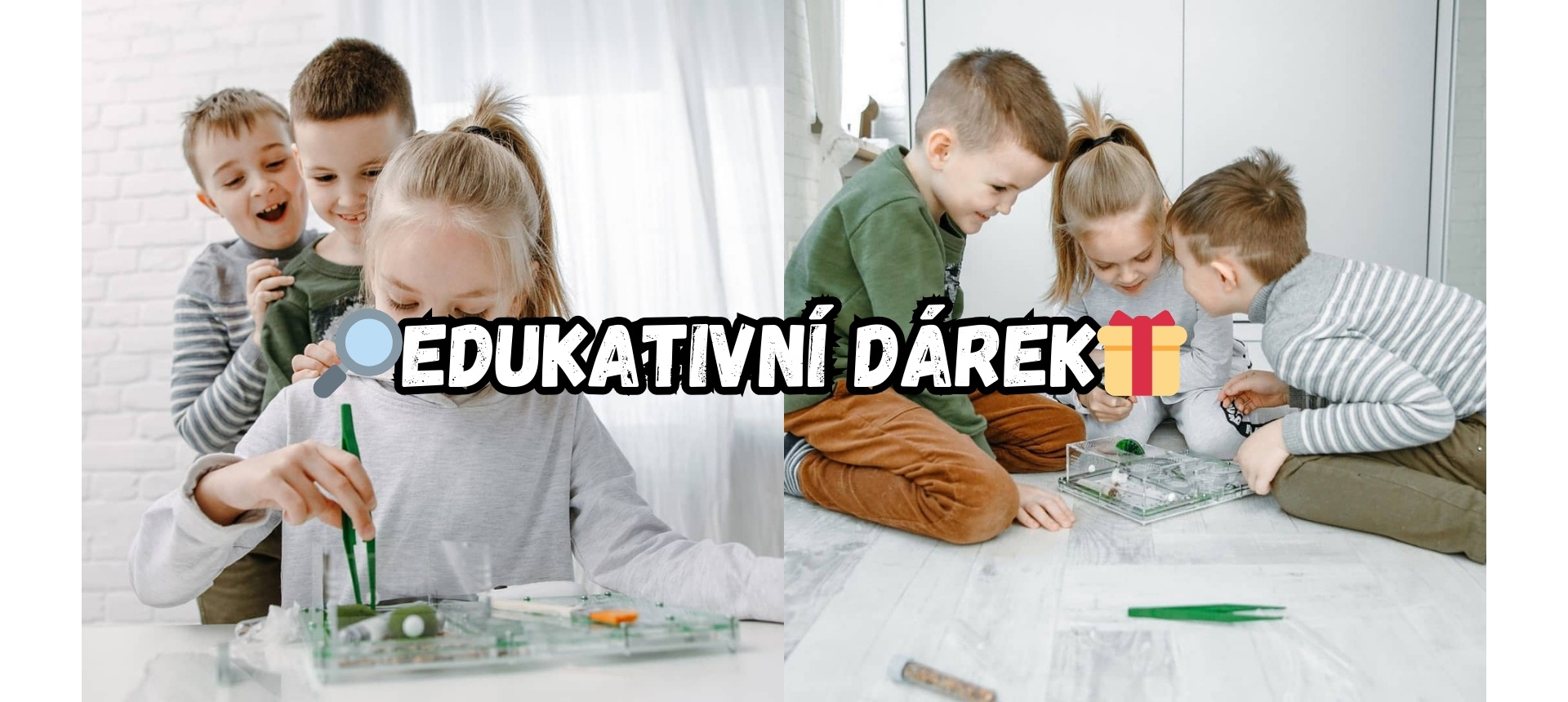 Objevte mravenčí farmy s živými koloniemi! Prodej formikárií, královen, potravy a doplňků pro chov mravenců. Skvělá zábava i vzdělání pro každého.