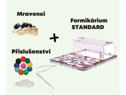 Startovní set mravenčí farma - STANDARD