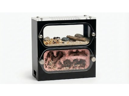 Formikrium s mraven koloni 27f460297a