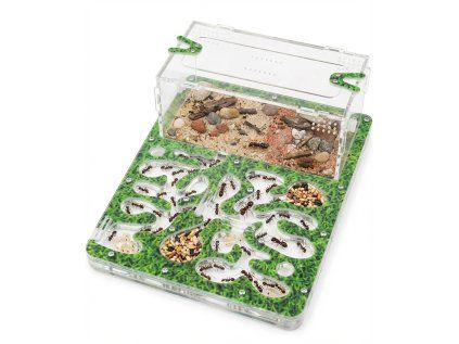 Generated Image March 13, 2026 2 29PM