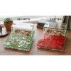 Formicarium with and without cover 50b00da453