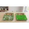 Formicarium with and without cover c0c9586c9a