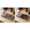 Formicarium with and without cover 2a9908fa2c