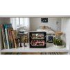 Childrens room shelf formicarium 6d55c51d5a