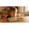 Boy fascinated by ant farm 6f799df4eb