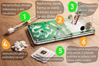 VÝHODY CHOVU MRAVENCŮ 🐜 🐜 Nezpůsobují alergií 🐜 Nekoušou a neutíkají 🐜 Rozvíjí odpovědnost 🐜 Jednoduchá péče a podrobný...