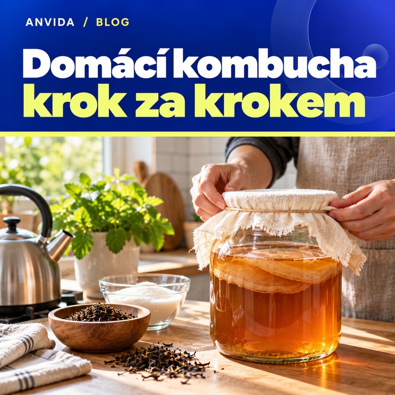 Kombucha návod: jak si ji vyrobit doma krok za krokem