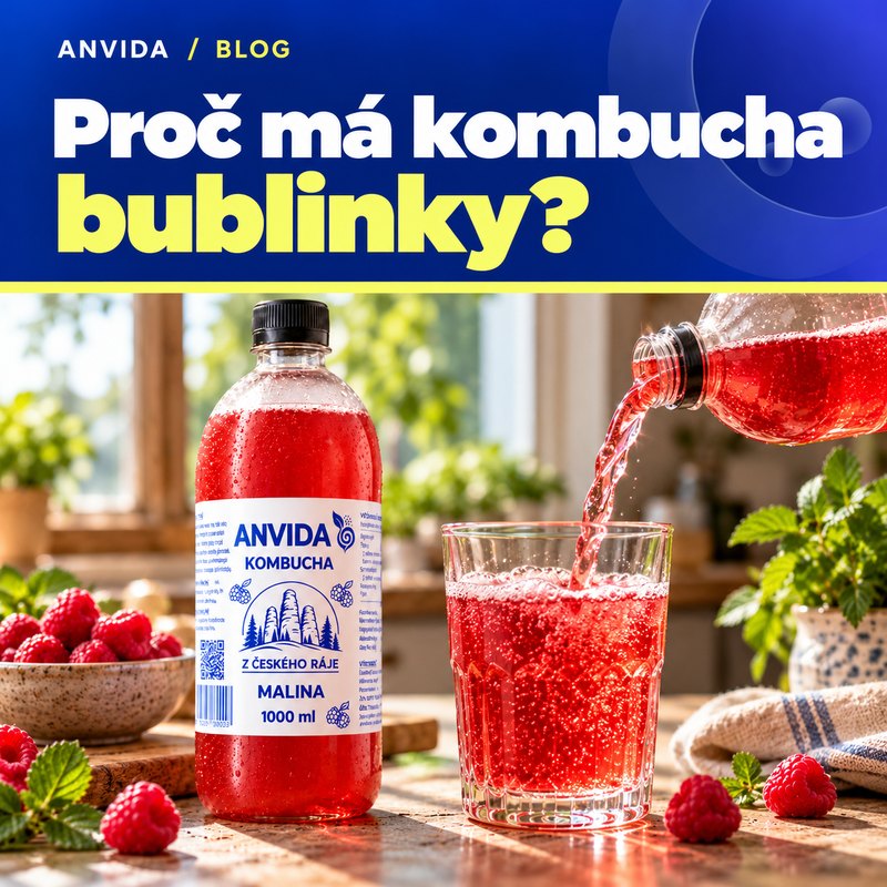 Proč je kombucha perlivá? Jak vznikají bublinky