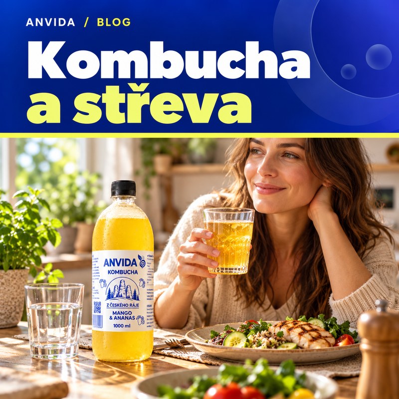 Kombucha a střeva: trávení, mikrobiom a realita