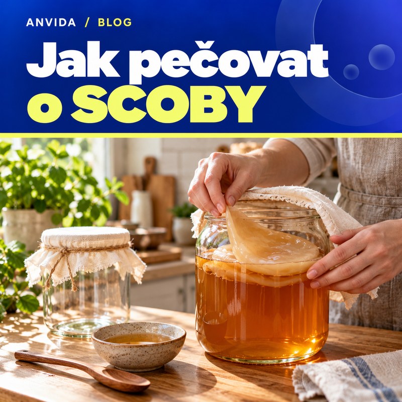 Jak pečovat o SCOBY