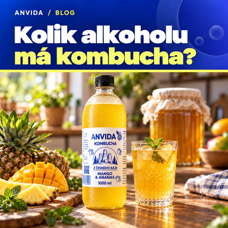 Kombucha a alkohol: kolik ho může obsahovat v lahvi