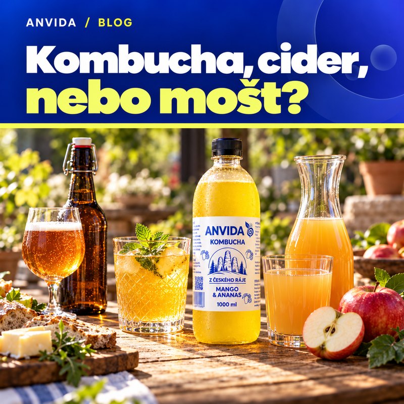 Kombucha vs cider vs mošt: