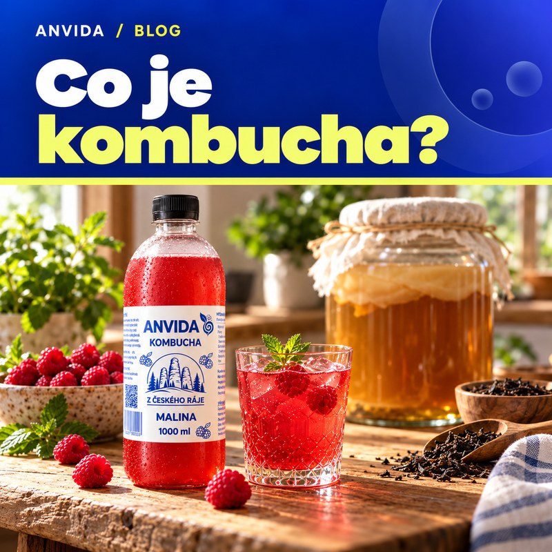 Co je kombucha: fermentovaný nápoj bez wellness pohádek