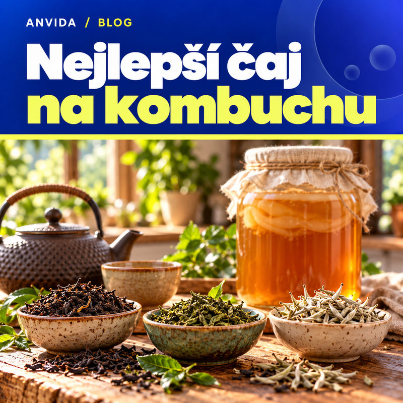 Nejlepší čaj na kombuchu: černý, zelený, bílý, nebo bylinkový?