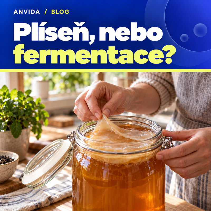 Plíseň na kombuše, nebo normální fermentace? Jak poznat rozdíl
