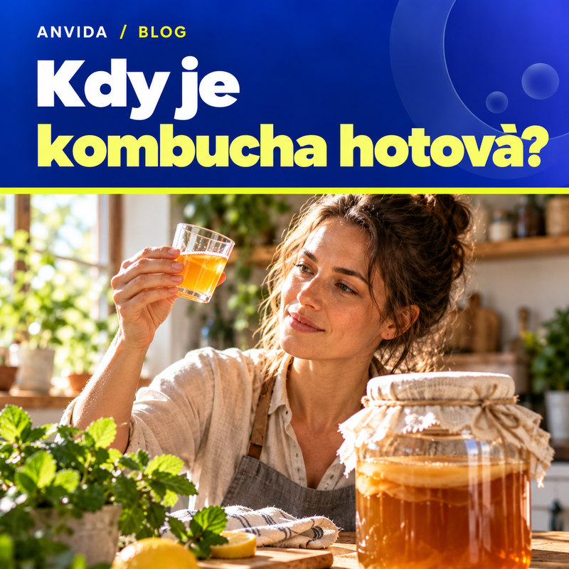 Jak poznat, že je kombucha hotová