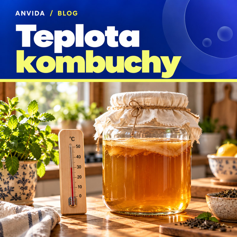 Teplota při výrobě kombuchy: co dělat v létě a v zimě