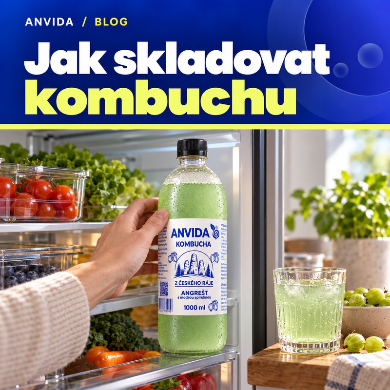 Kombucha skladování: jak uchovat živou kombuchu správně