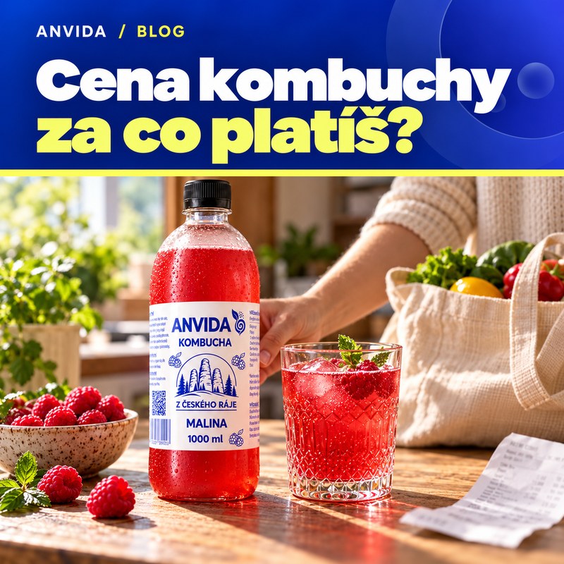Kombucha nápoj cena: kolik stojí a kdy má smysl zaplatit víc